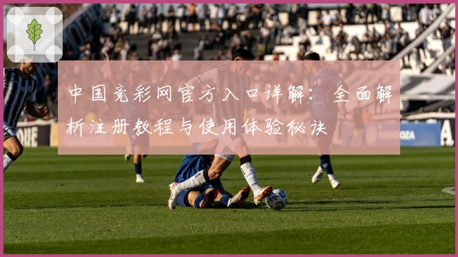 中国竞彩网官方入口详解：全面解析注册教程与使用体验秘诀