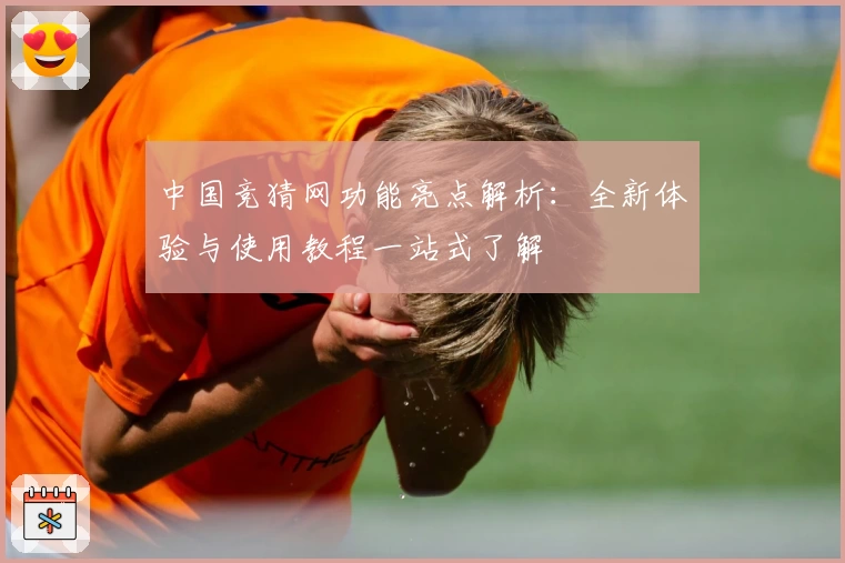 中国竞猜网功能亮点解析：全新体验与使用教程一站式了解