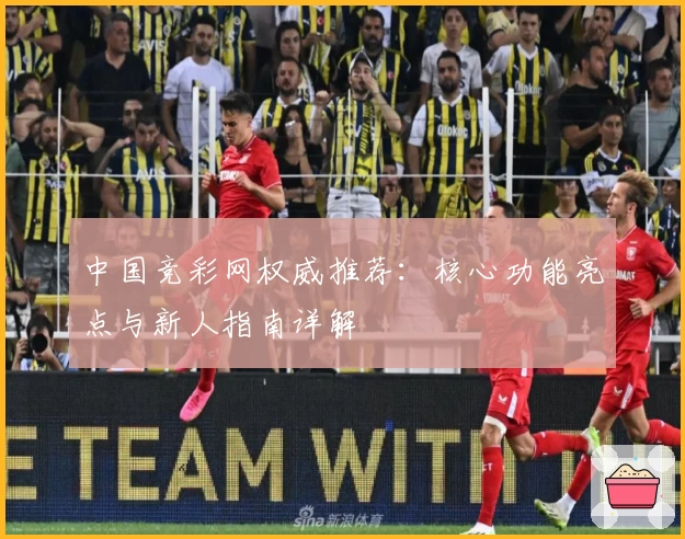 中国竞彩网权威推荐：核心功能亮点与新人指南详解