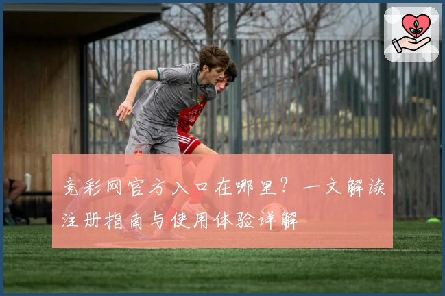 竞彩网官方入口在哪里？一文解读注册指南与使用体验详解